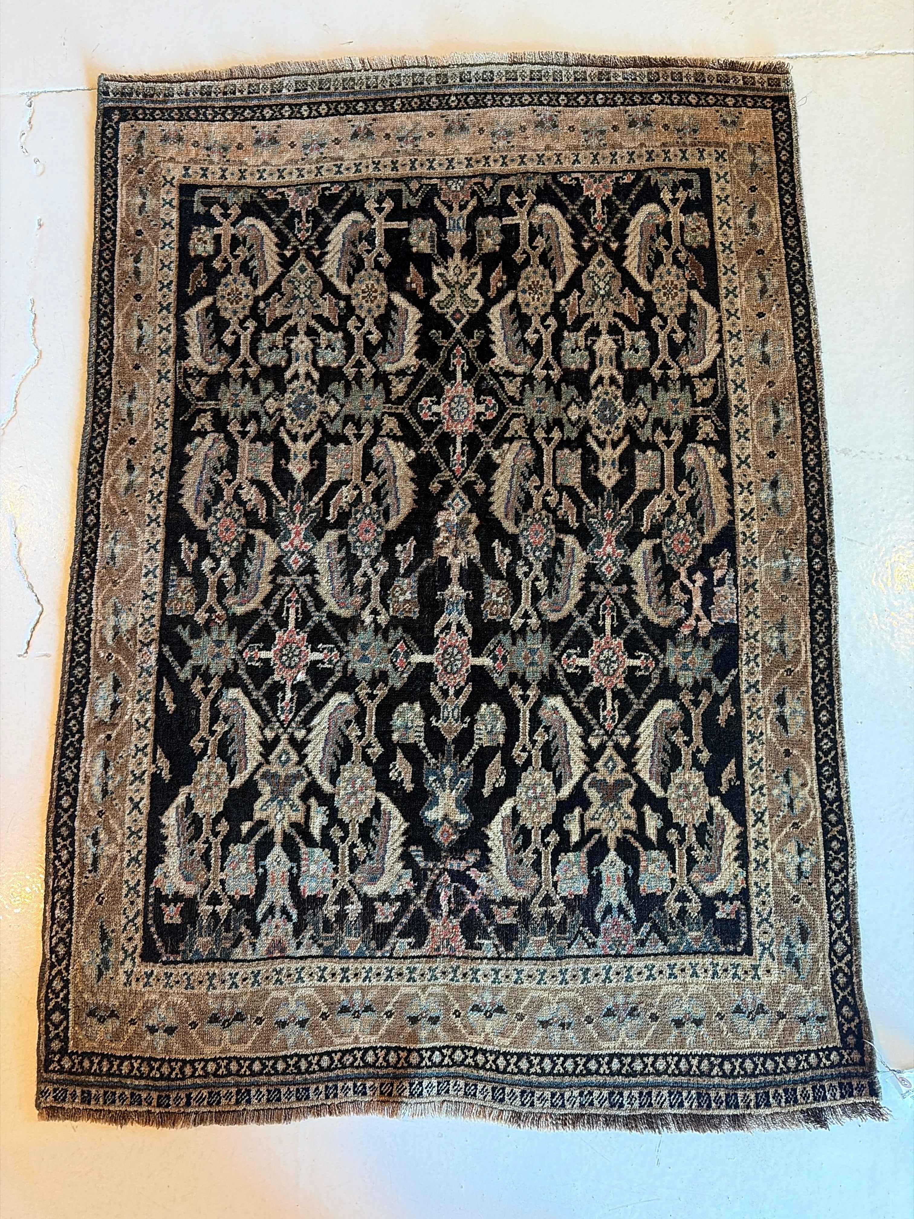 Shiraz Rug 3.2x4.3