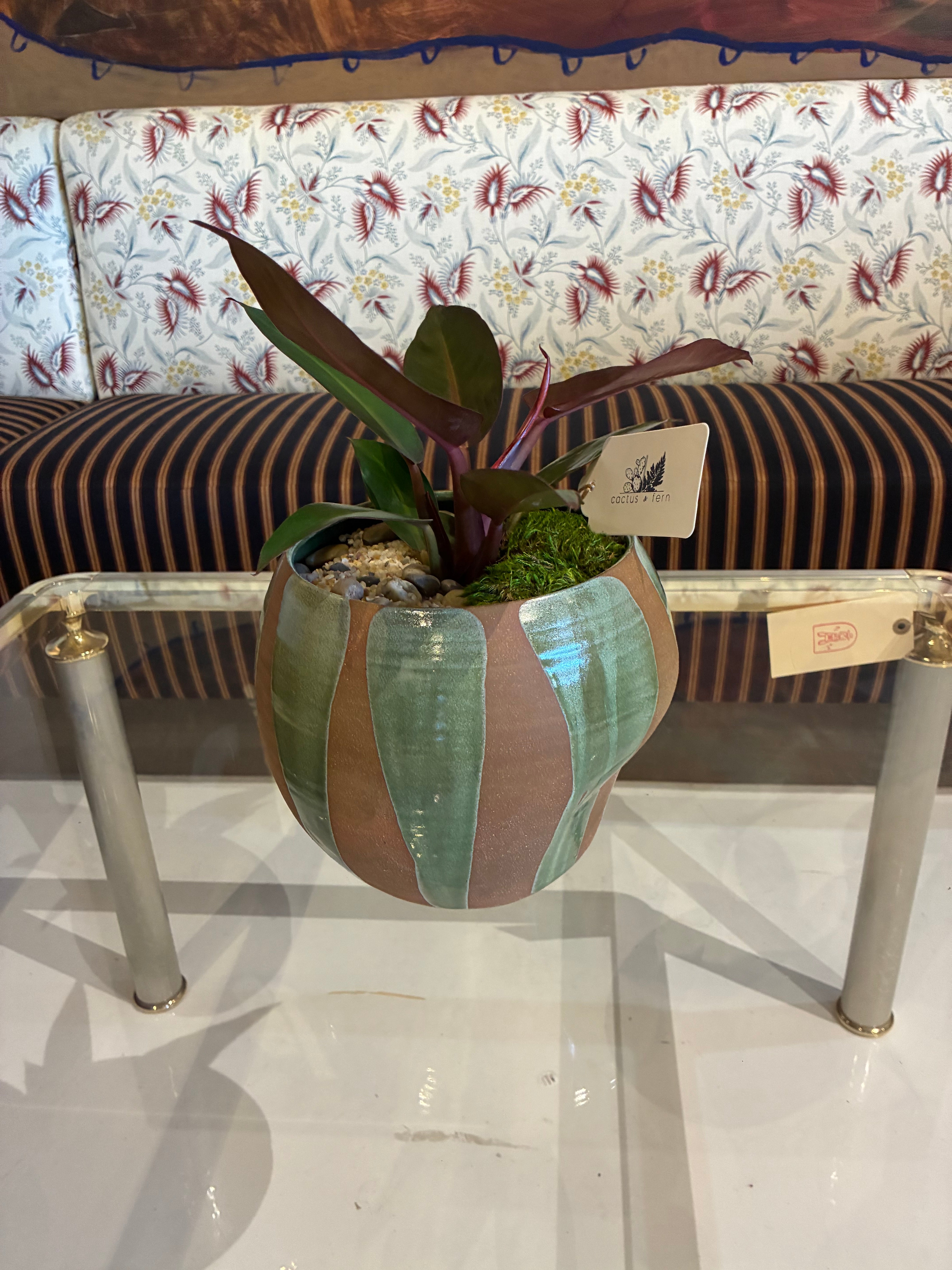 Philodendron in a handcrafted bell-shape vessel w/ flame-glazed green pattern