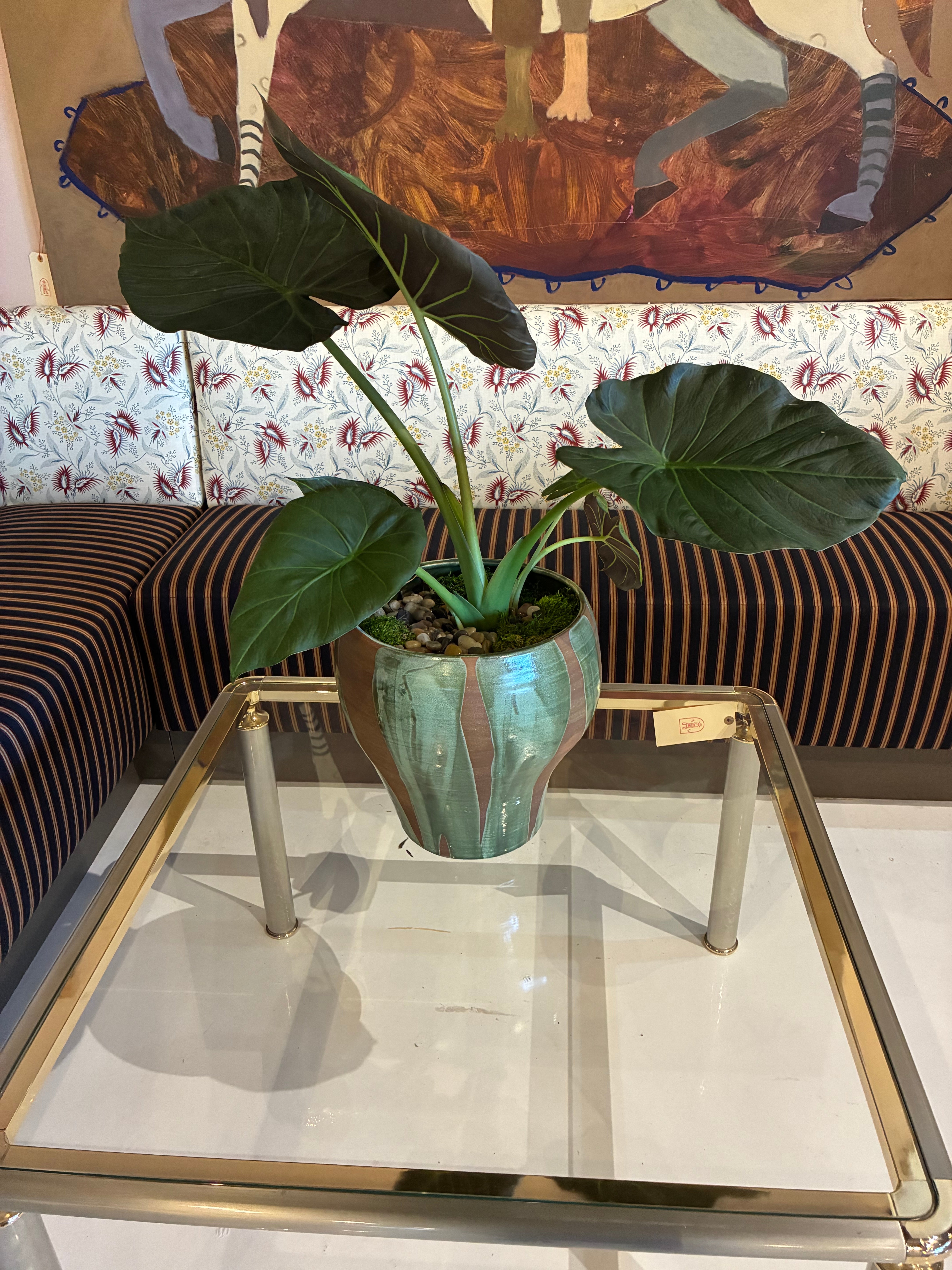 Alocasia in a handcrafted bell-shape vessel w/ flame-glazed green pattern