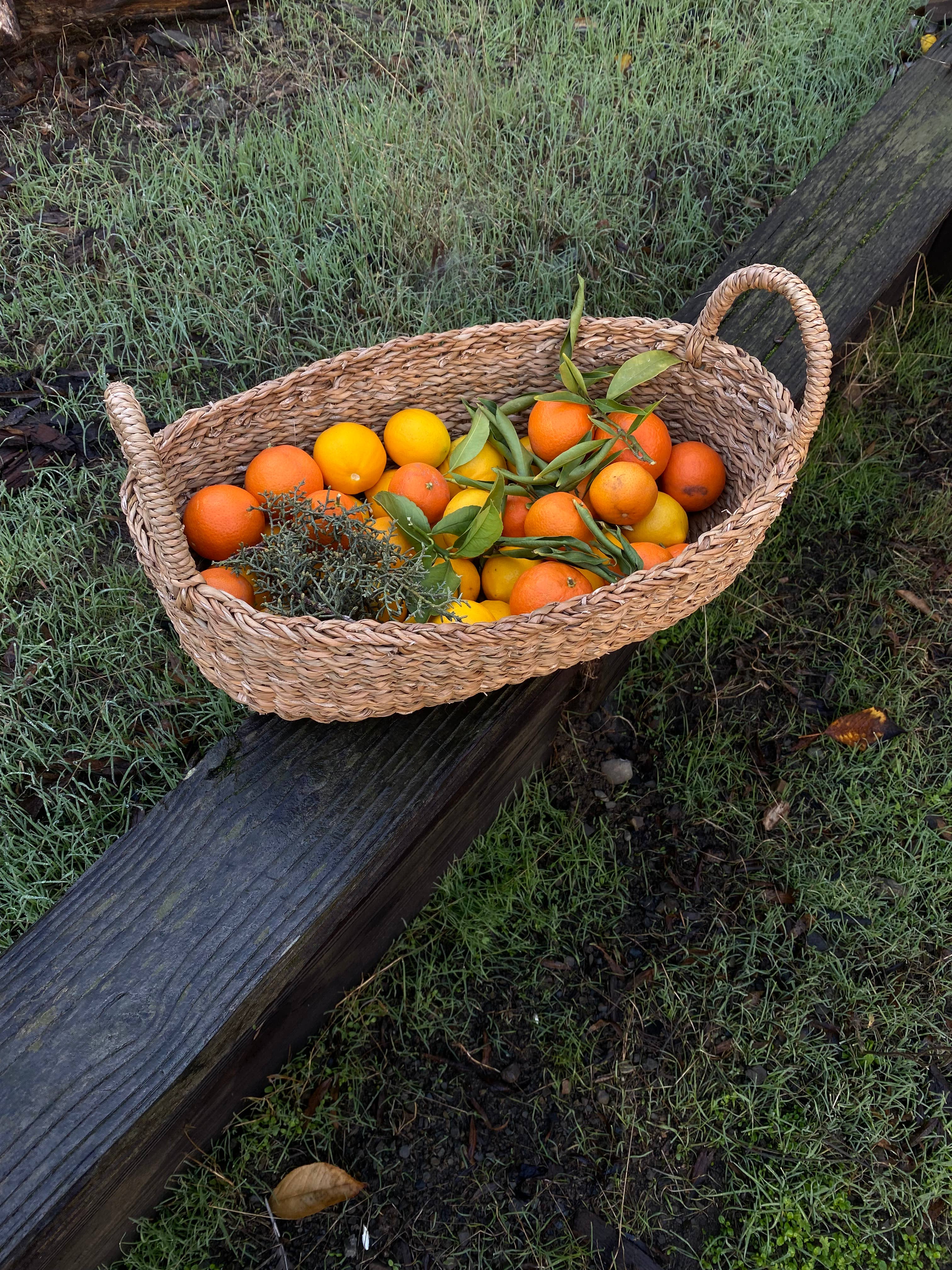 Oval Tray Basket, harvest: Small