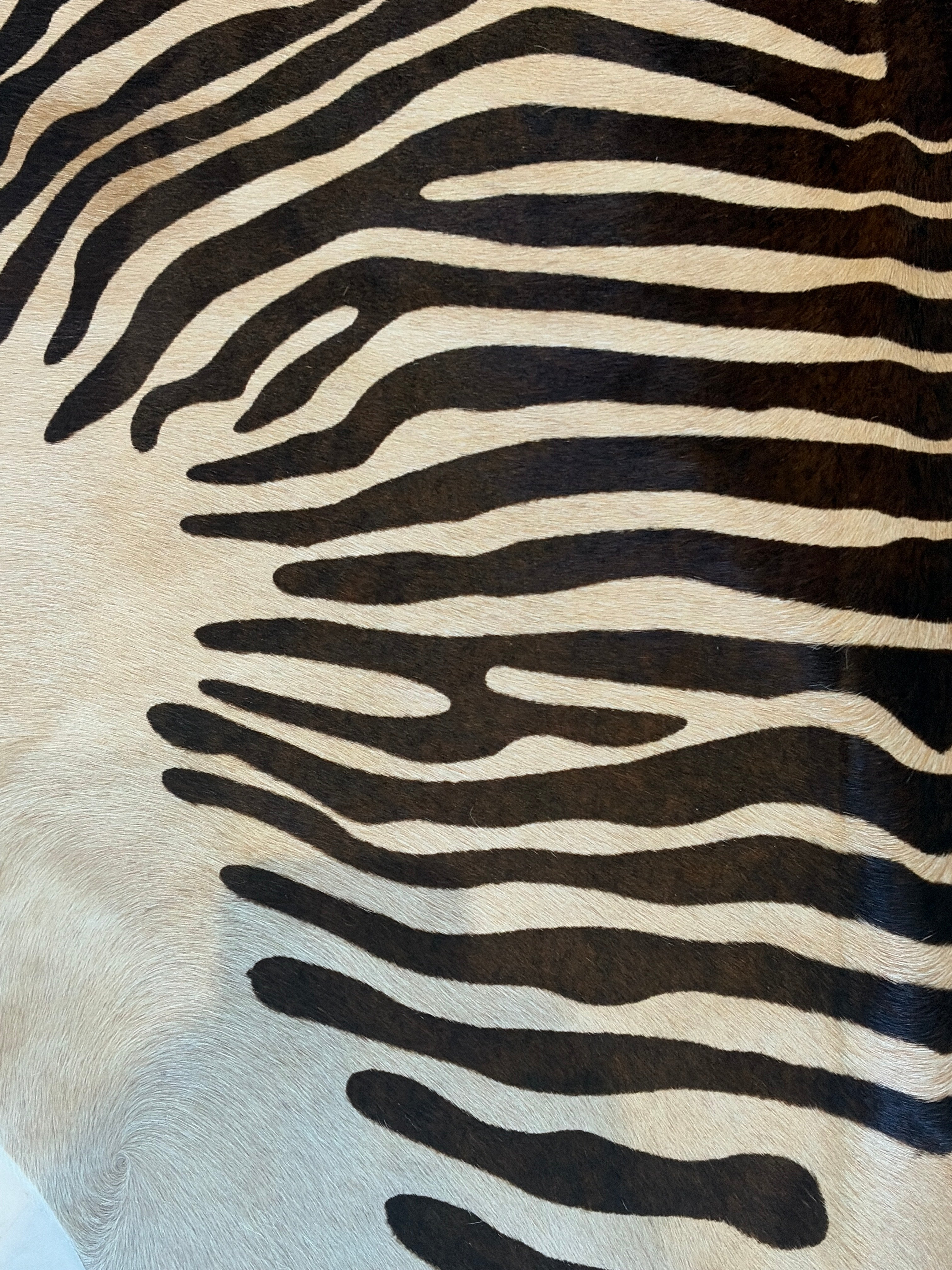 Zebra Skin Rug