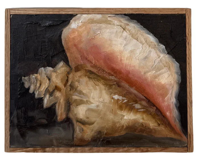 Alison Parsons, Shell 6.5” x 8.5” (3)