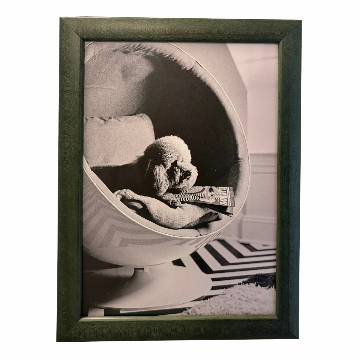 Dog Series Framed Art