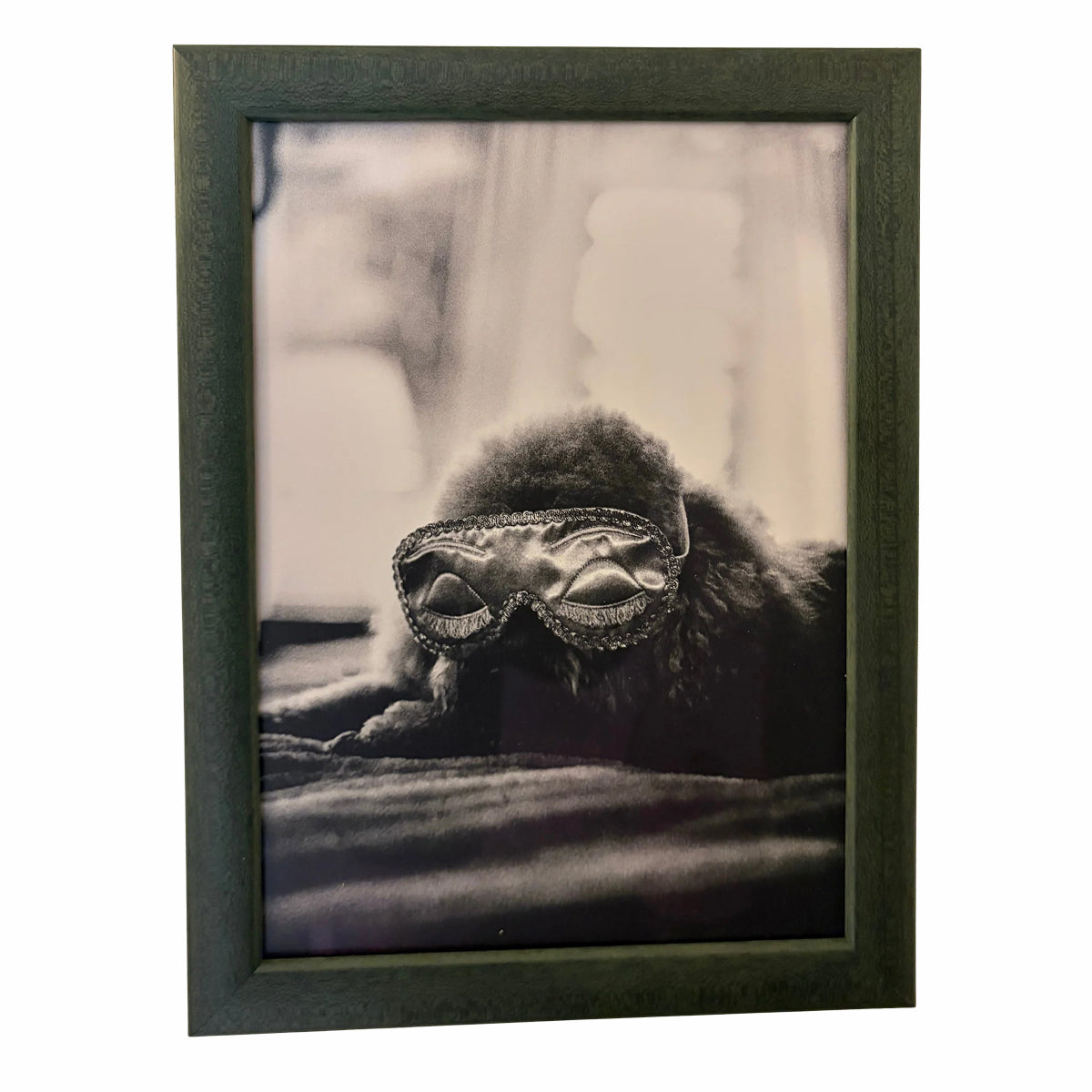 Dog Series Framed Art