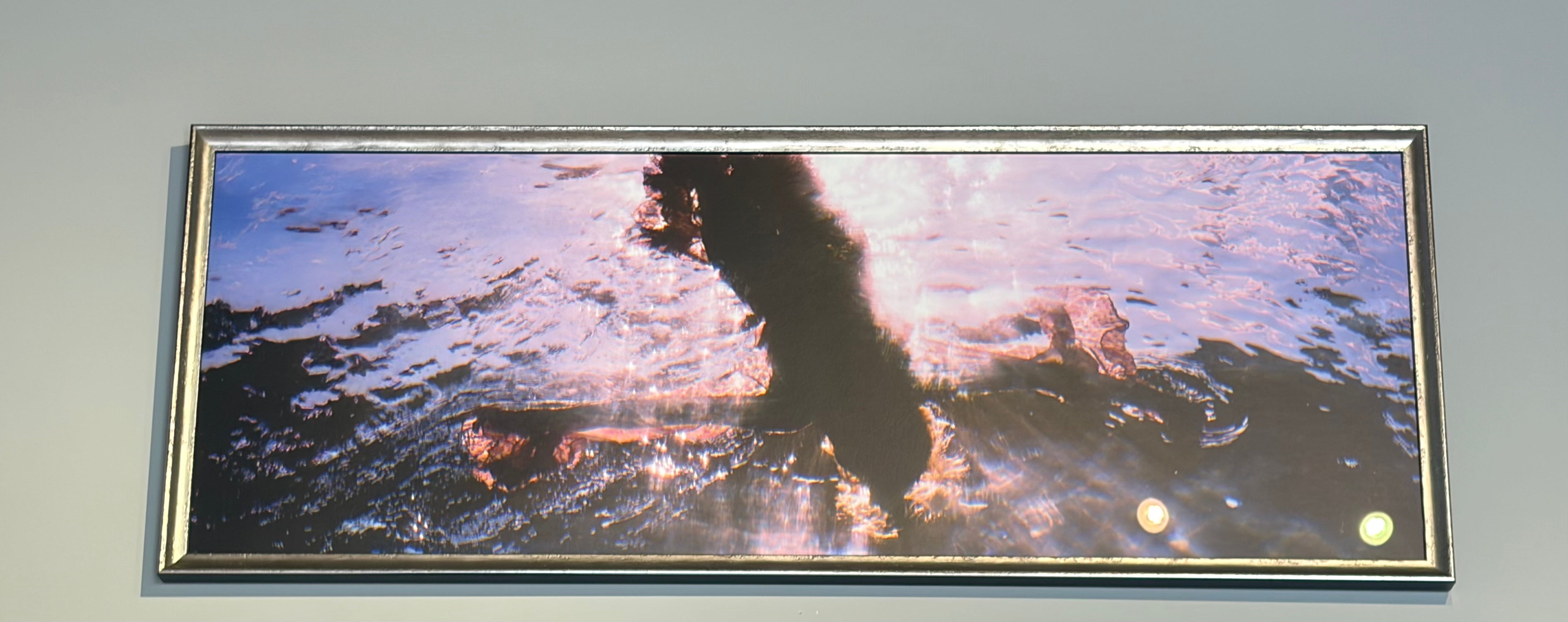 Lady Underwater Framed Art