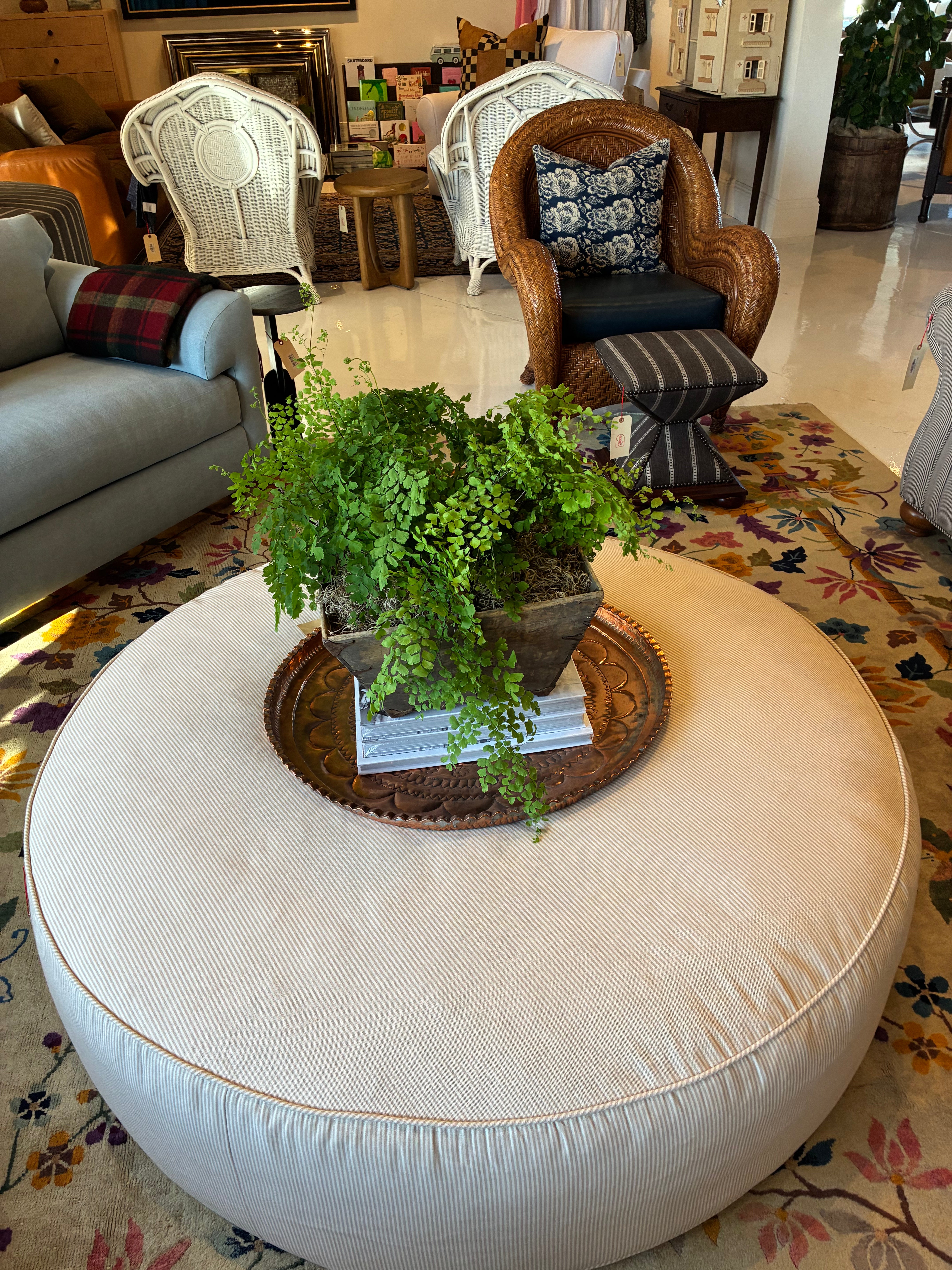 Maidenhair Fern Plant in a Chinese Wood Crate