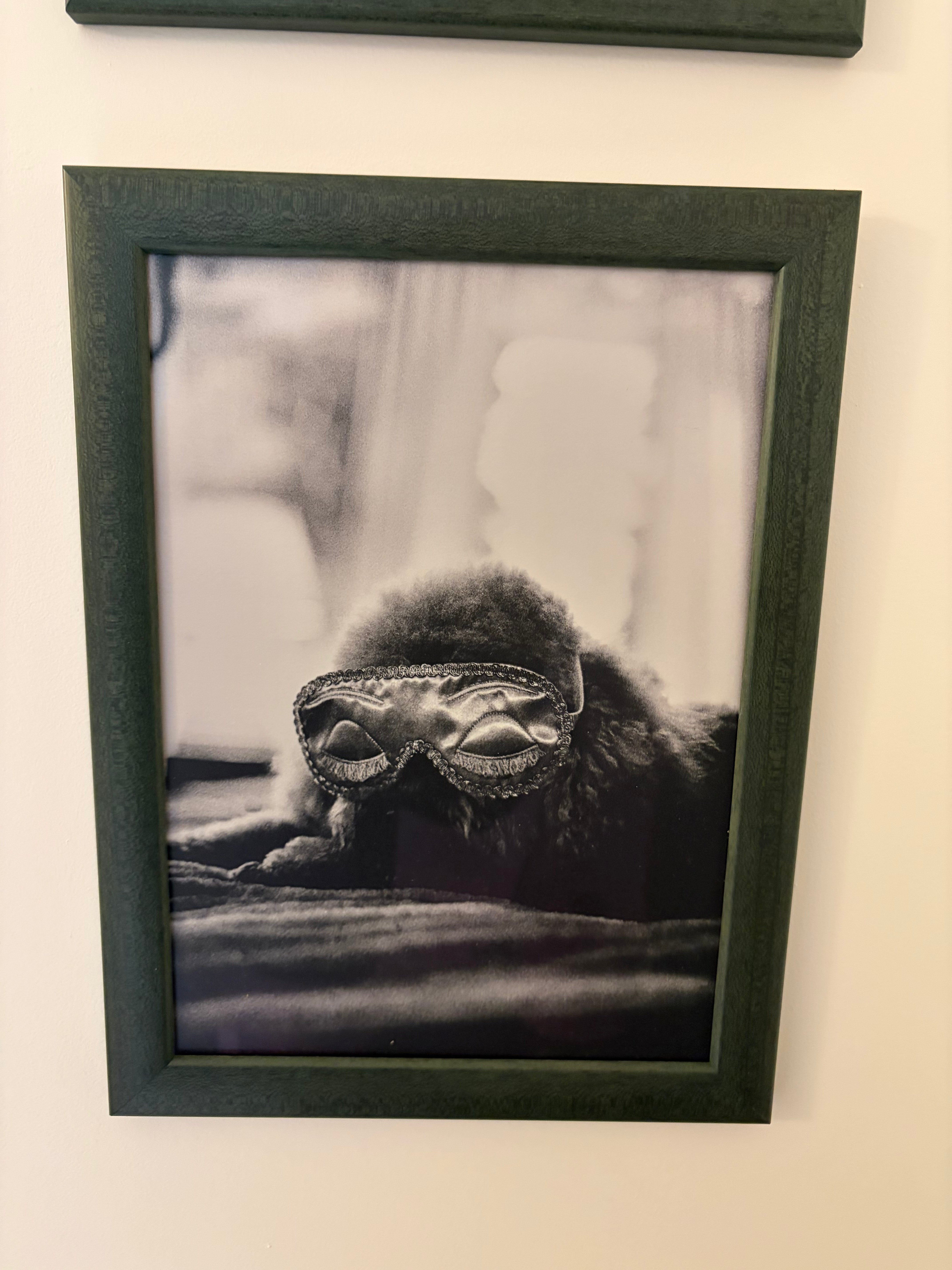 Dog Series Framed Art