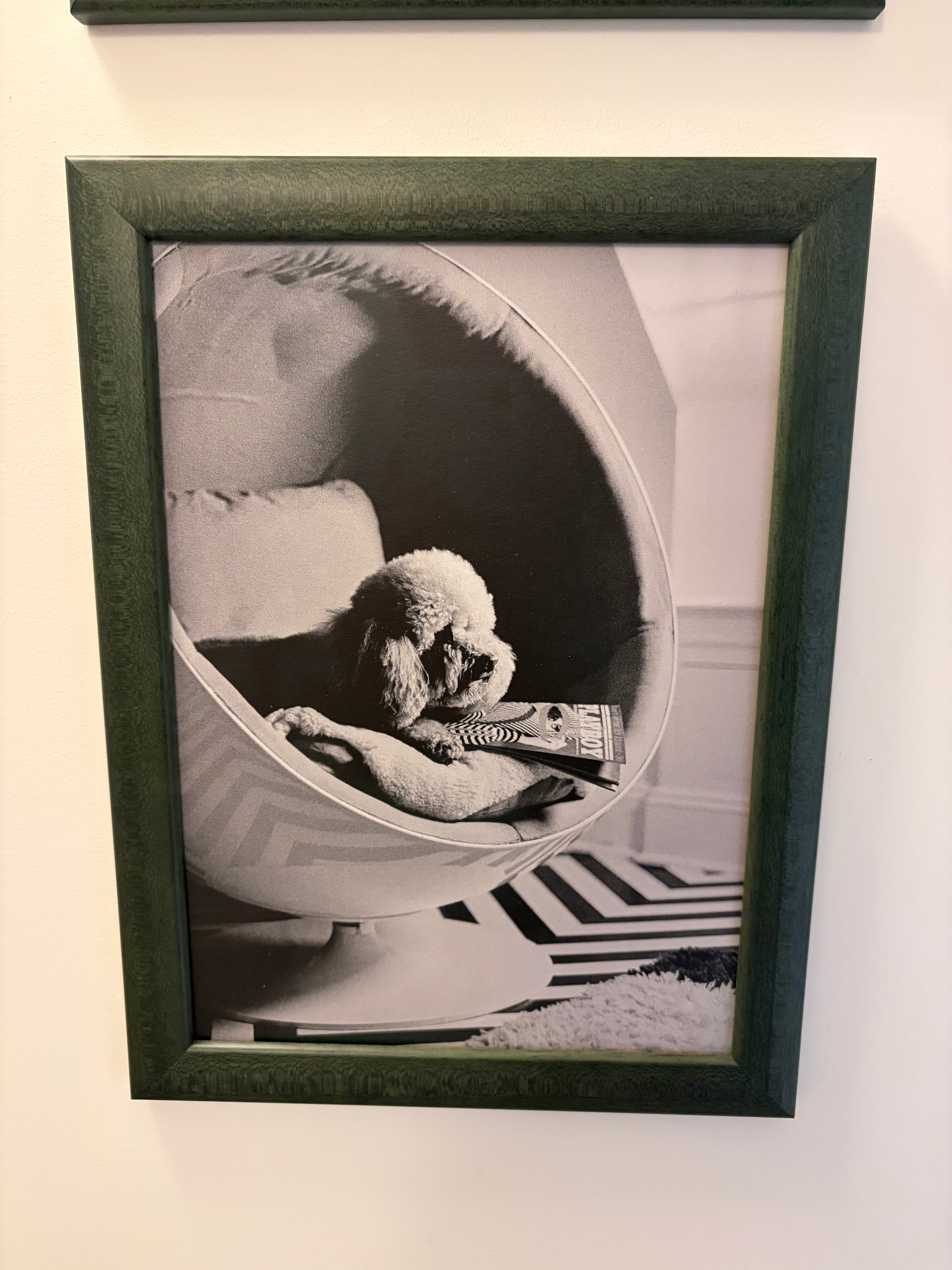 Dog Series Framed Art