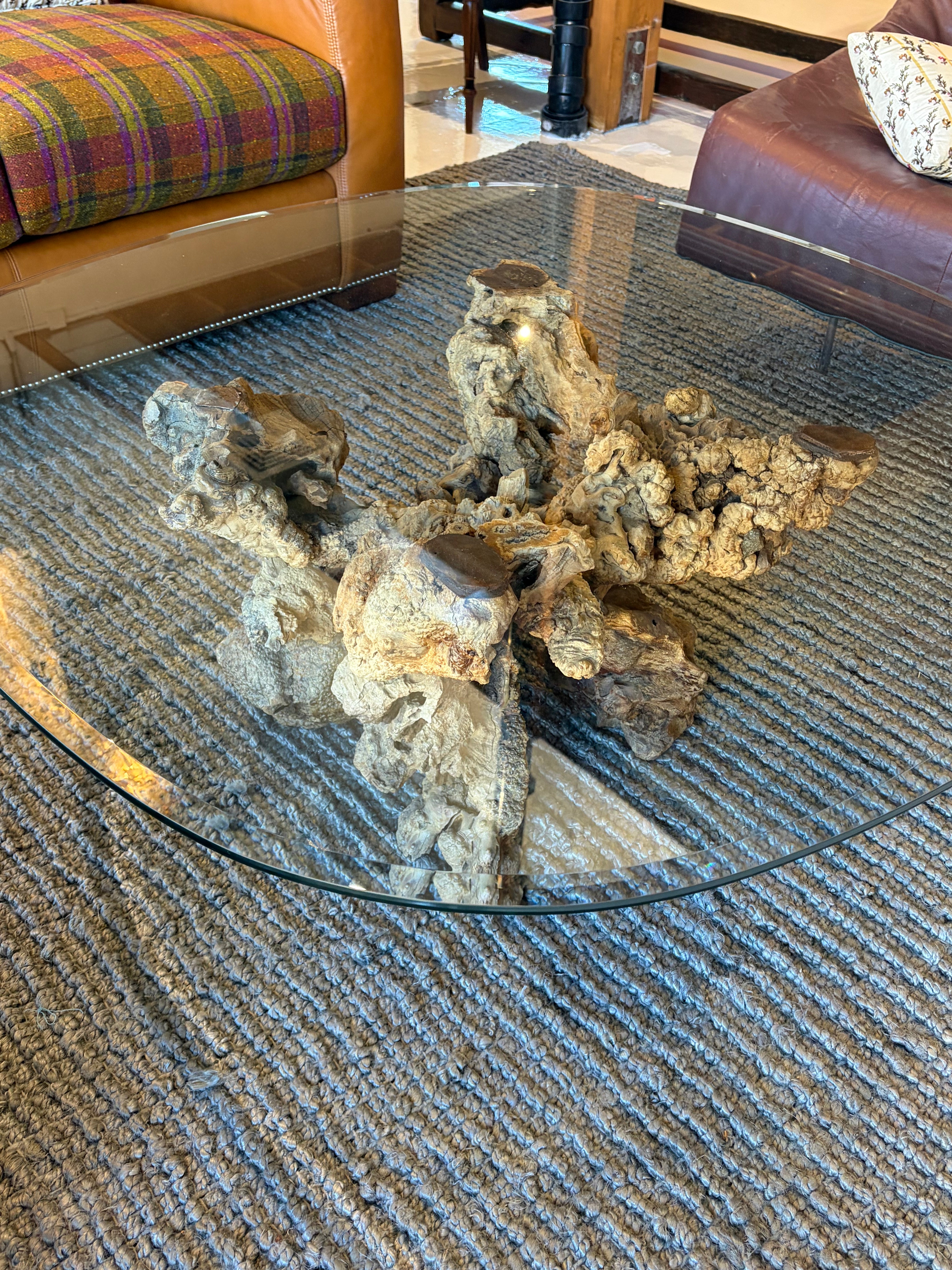Petrified Wood Coffee Table Glass Top