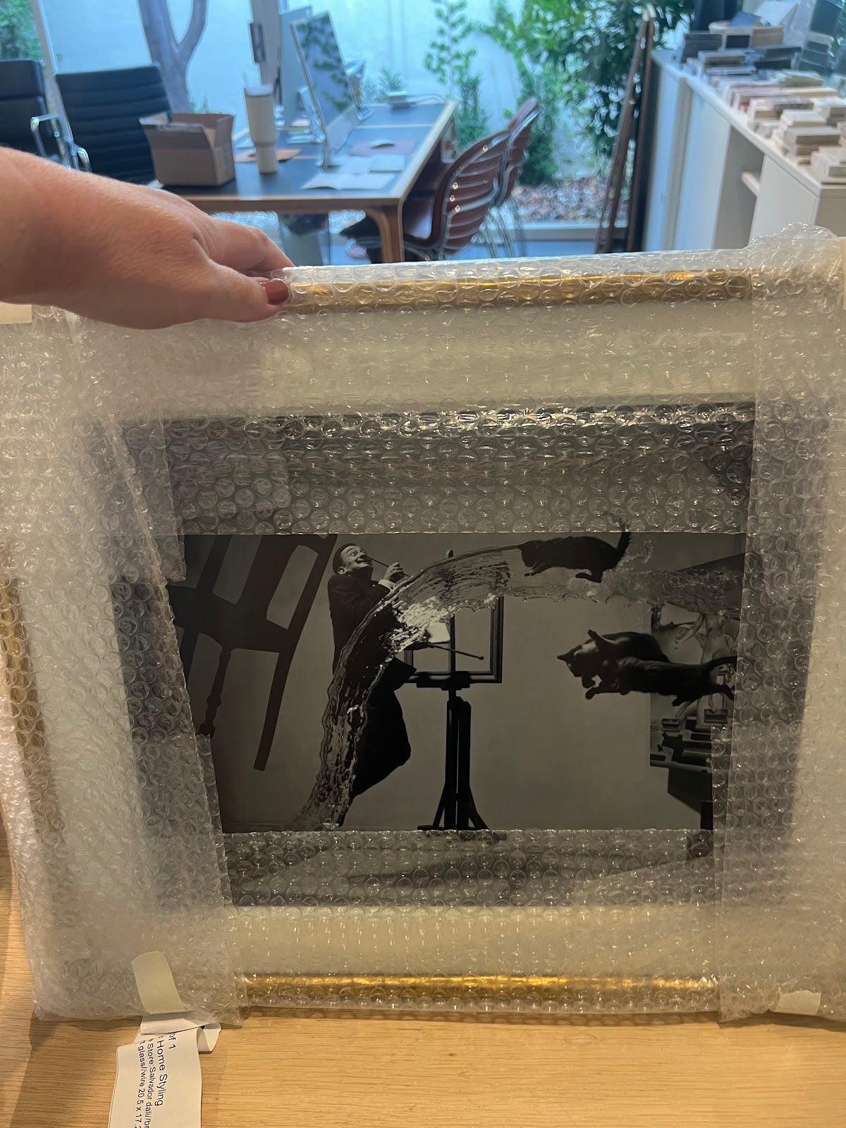 Salvador Dali Framed Art (floating room)
