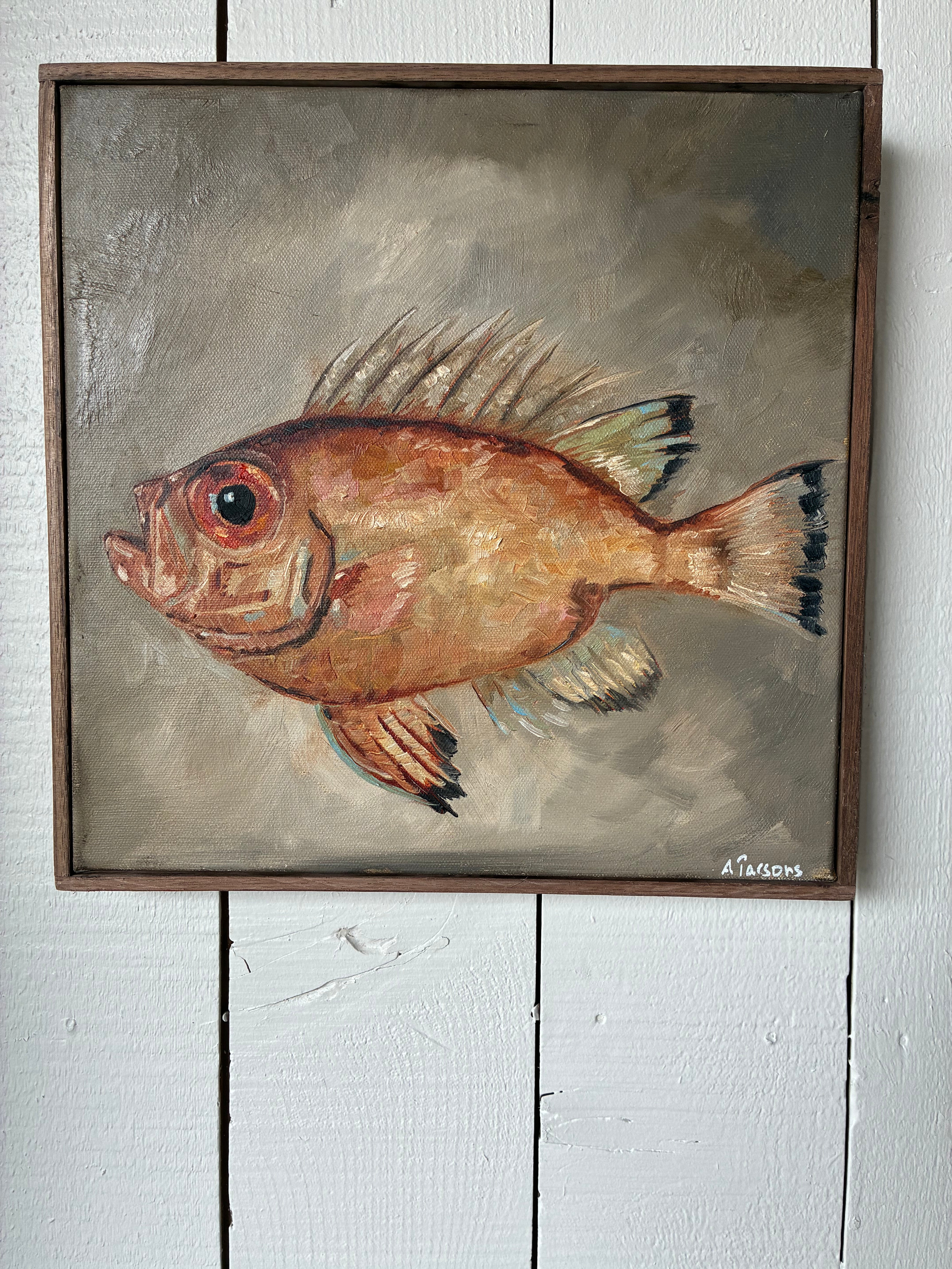 Alison Parsons Orange Fish 12” X 12”