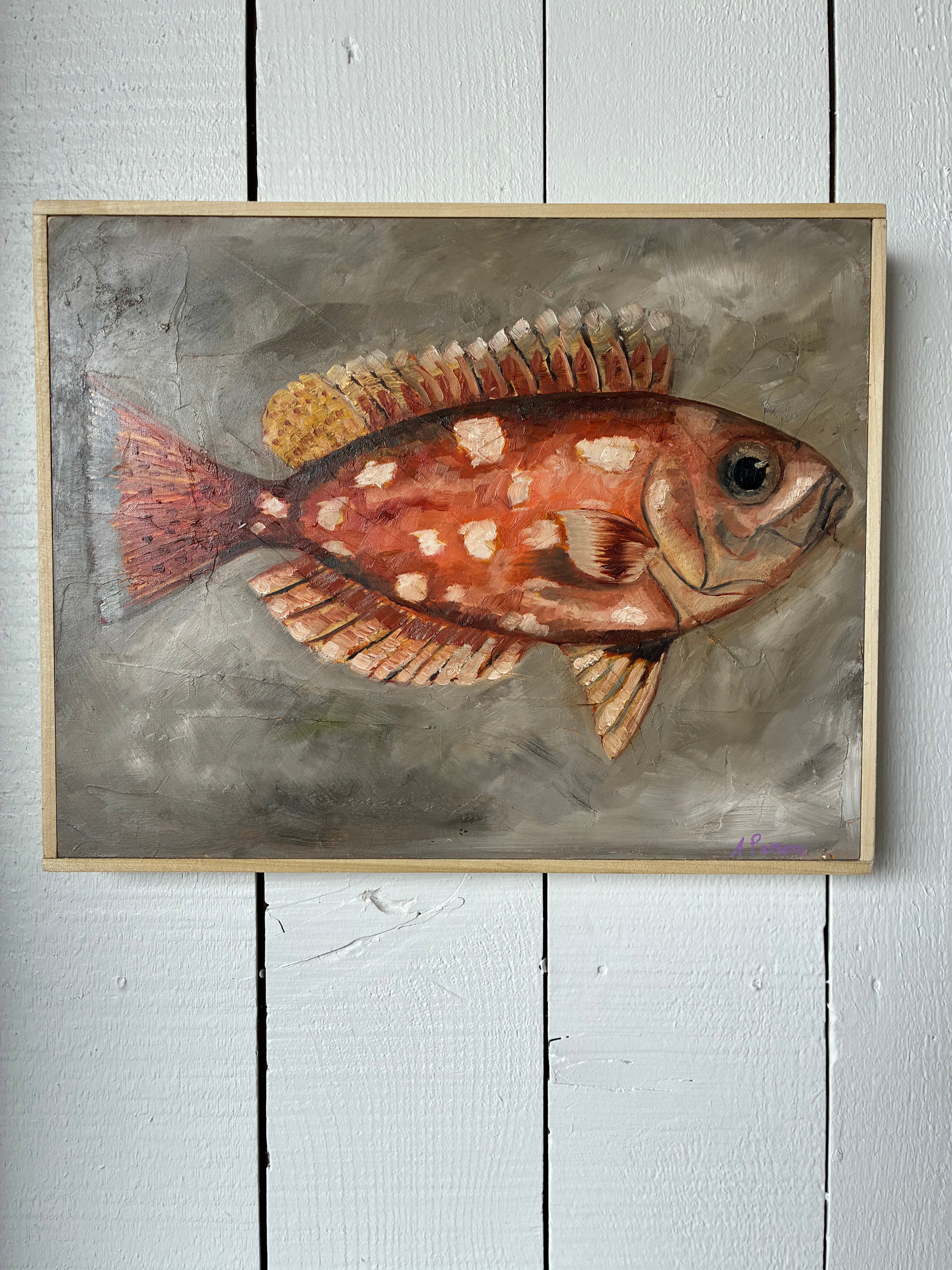 Alison Parsons Spotted Orange Fish