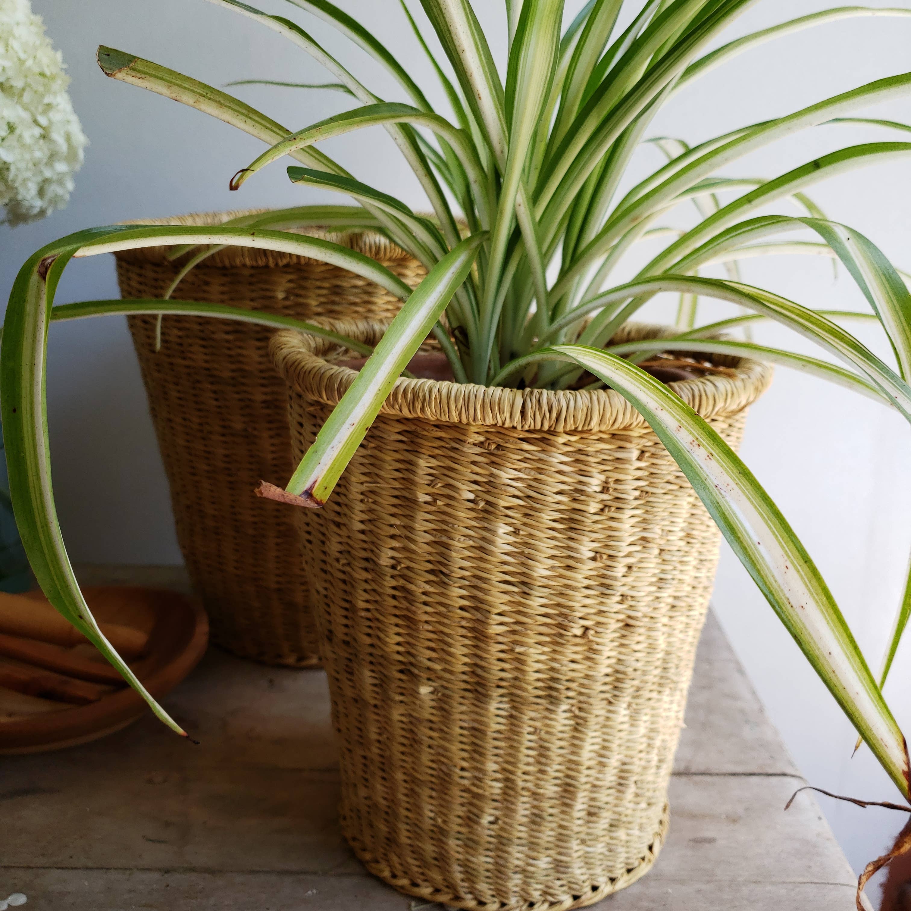 Medium Nesting Canister