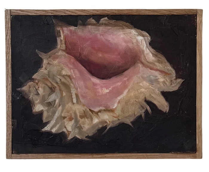 Alison Parsons, Shell 6.5” x 8.5” (1)