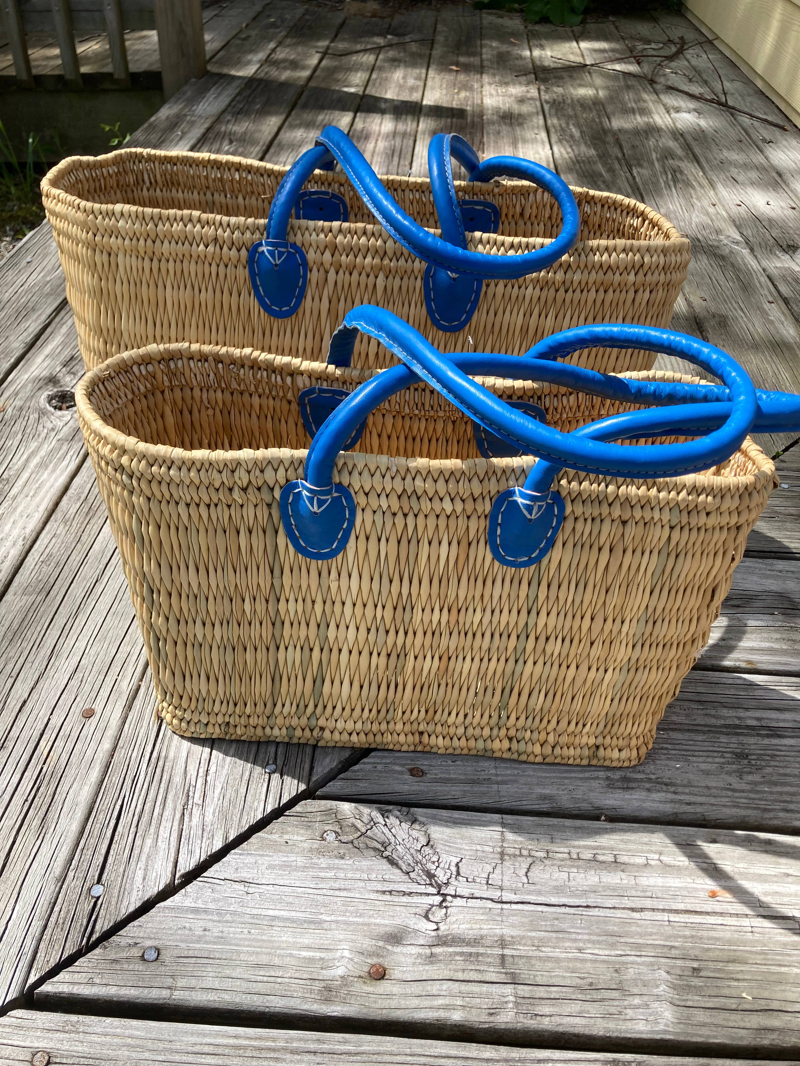 Water Reed with Light Blue Handles: Large