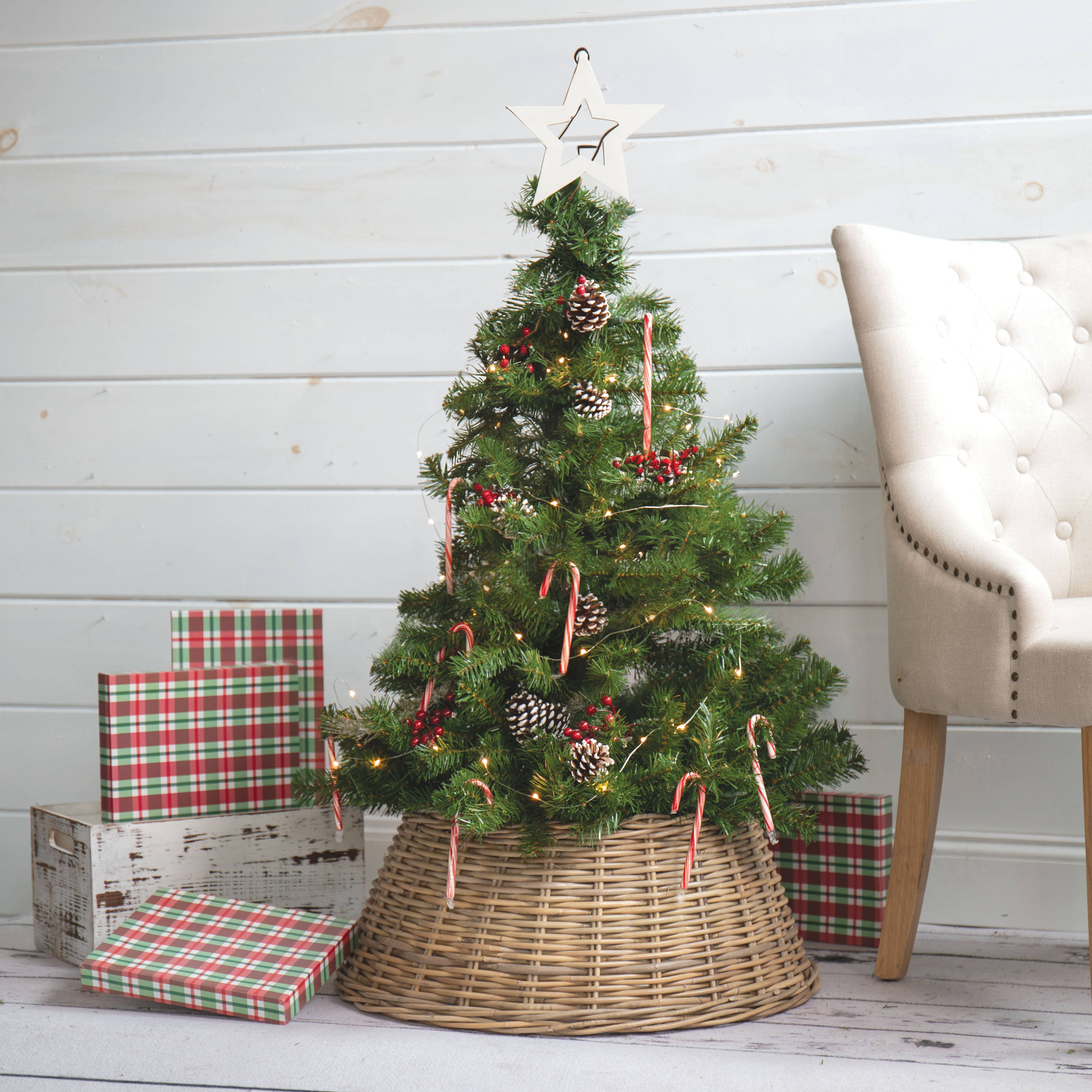 RD RATTAN TREE RING