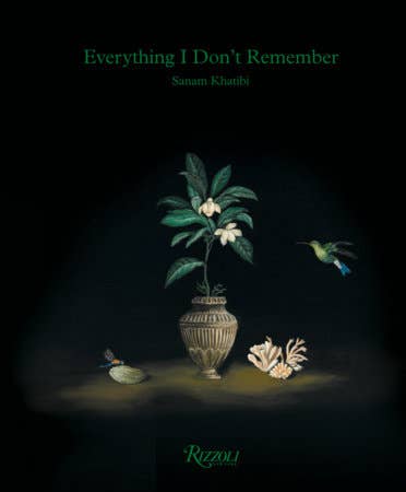 Everything I Don’t Remember by Sanam Khatibi