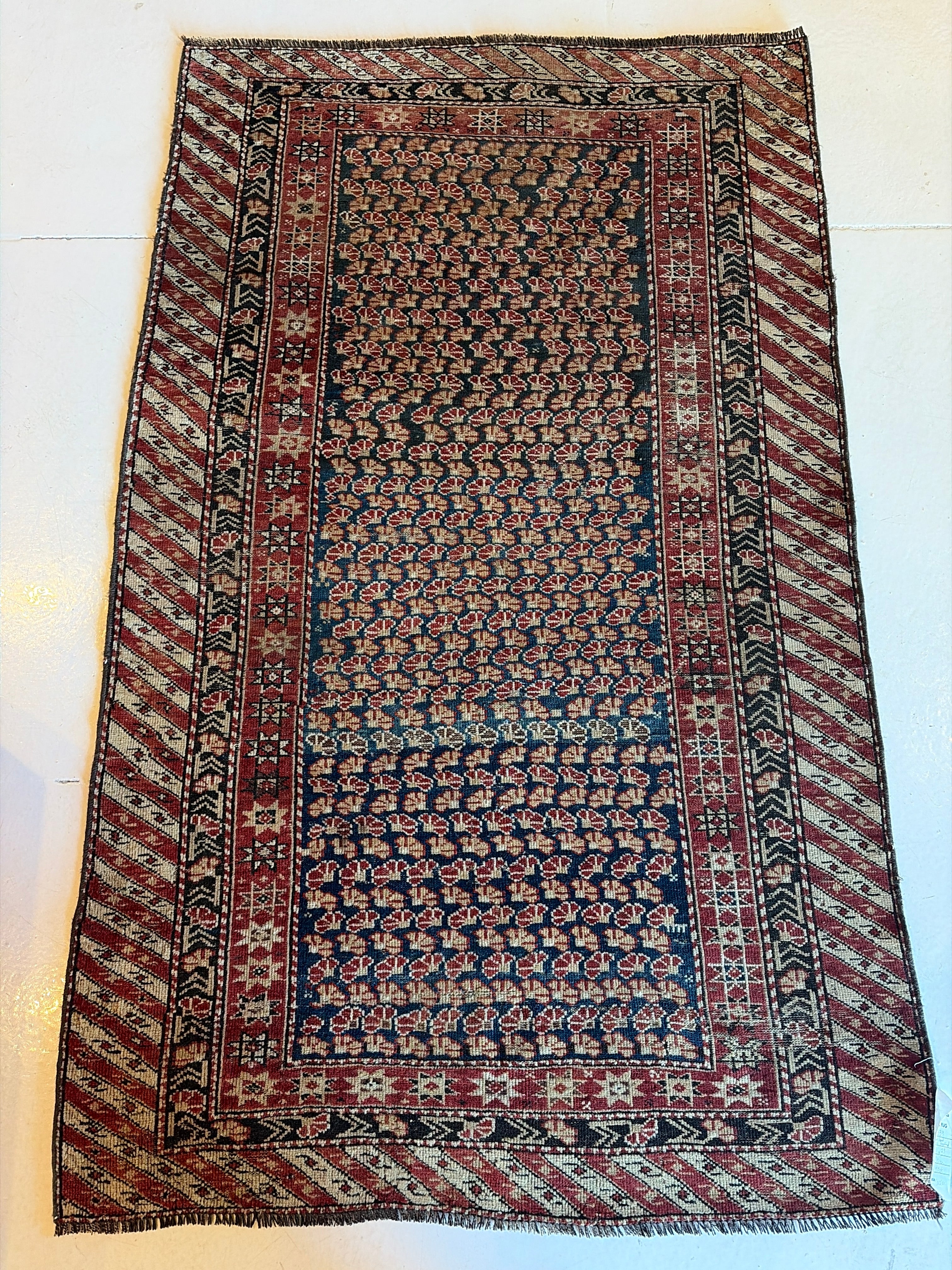 Shiryan Rug 3.3x5.3