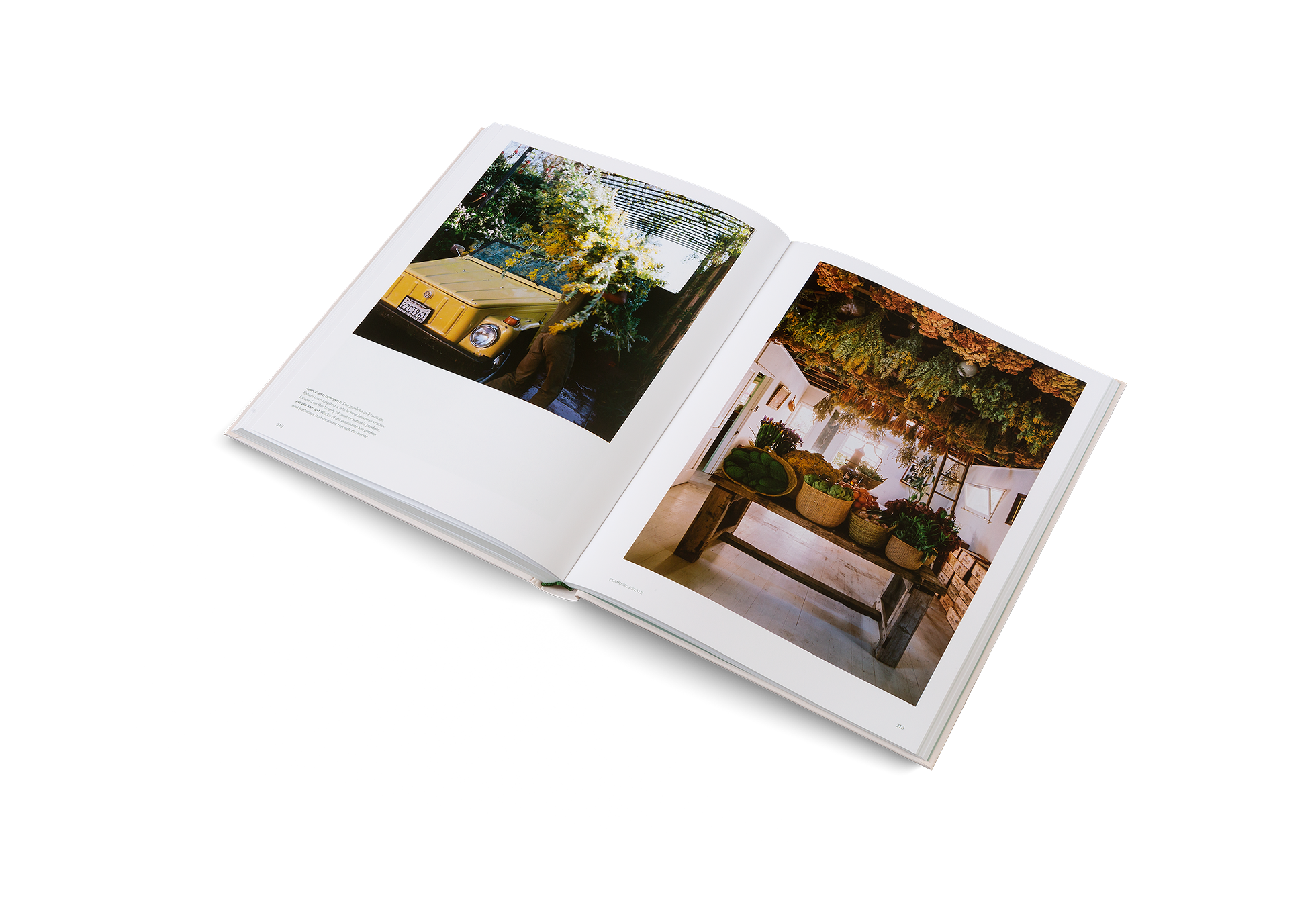 The Avant Gardens