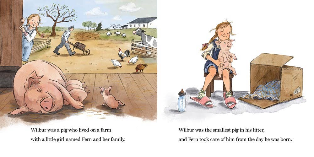 Charlotte's Web Board Book : E. B. White