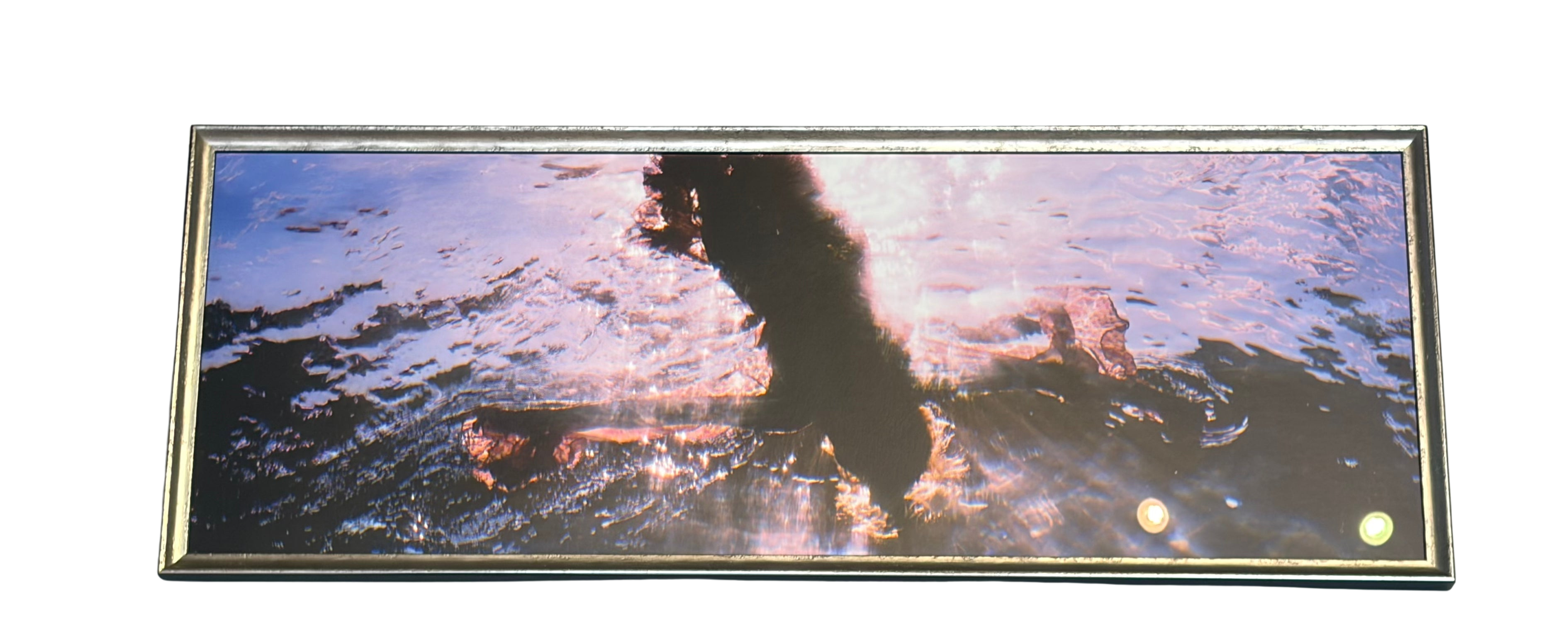 Lady Underwater Framed Art