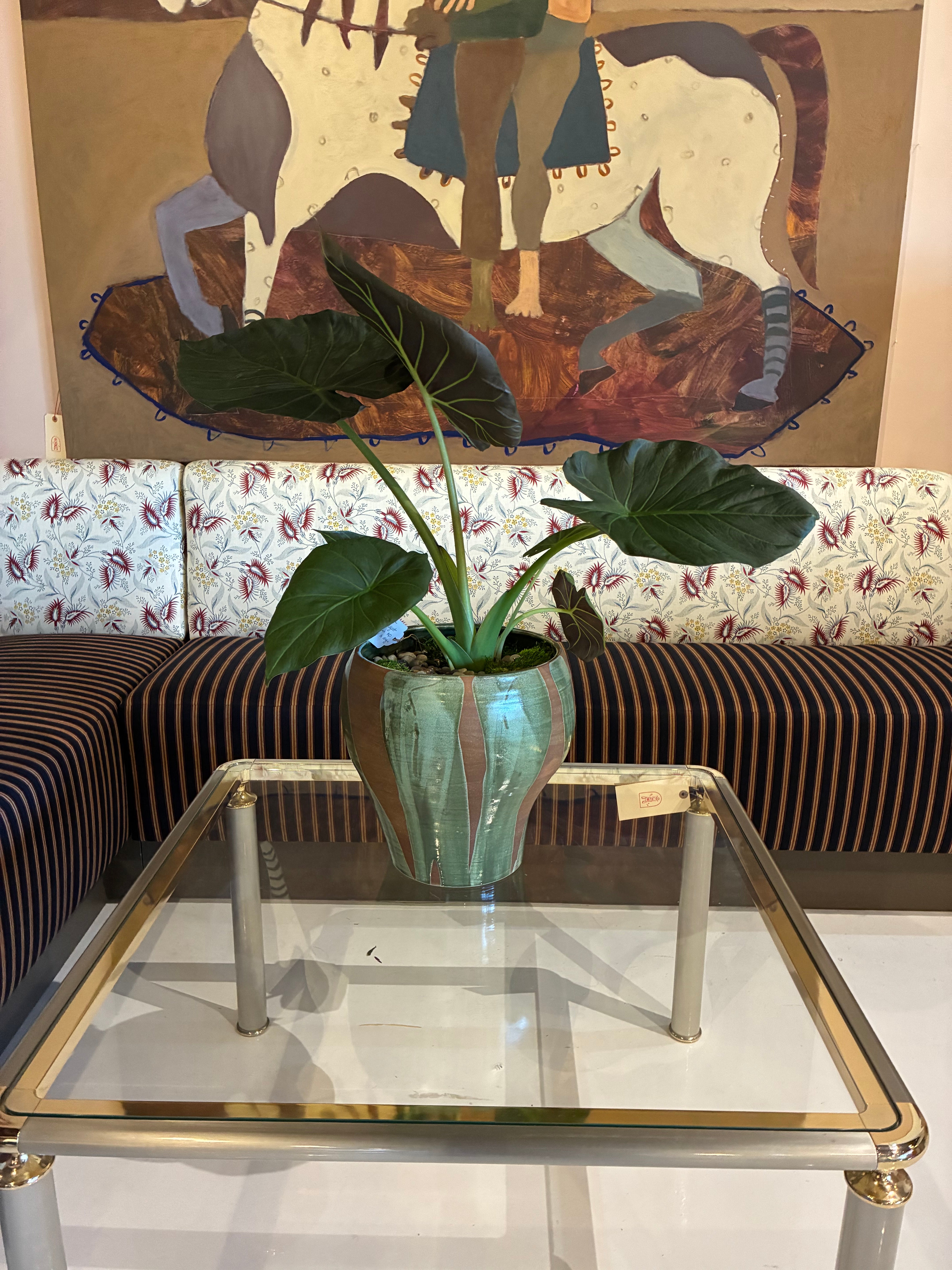 Alocasia in a handcrafted bell-shape vessel w/ flame-glazed green pattern