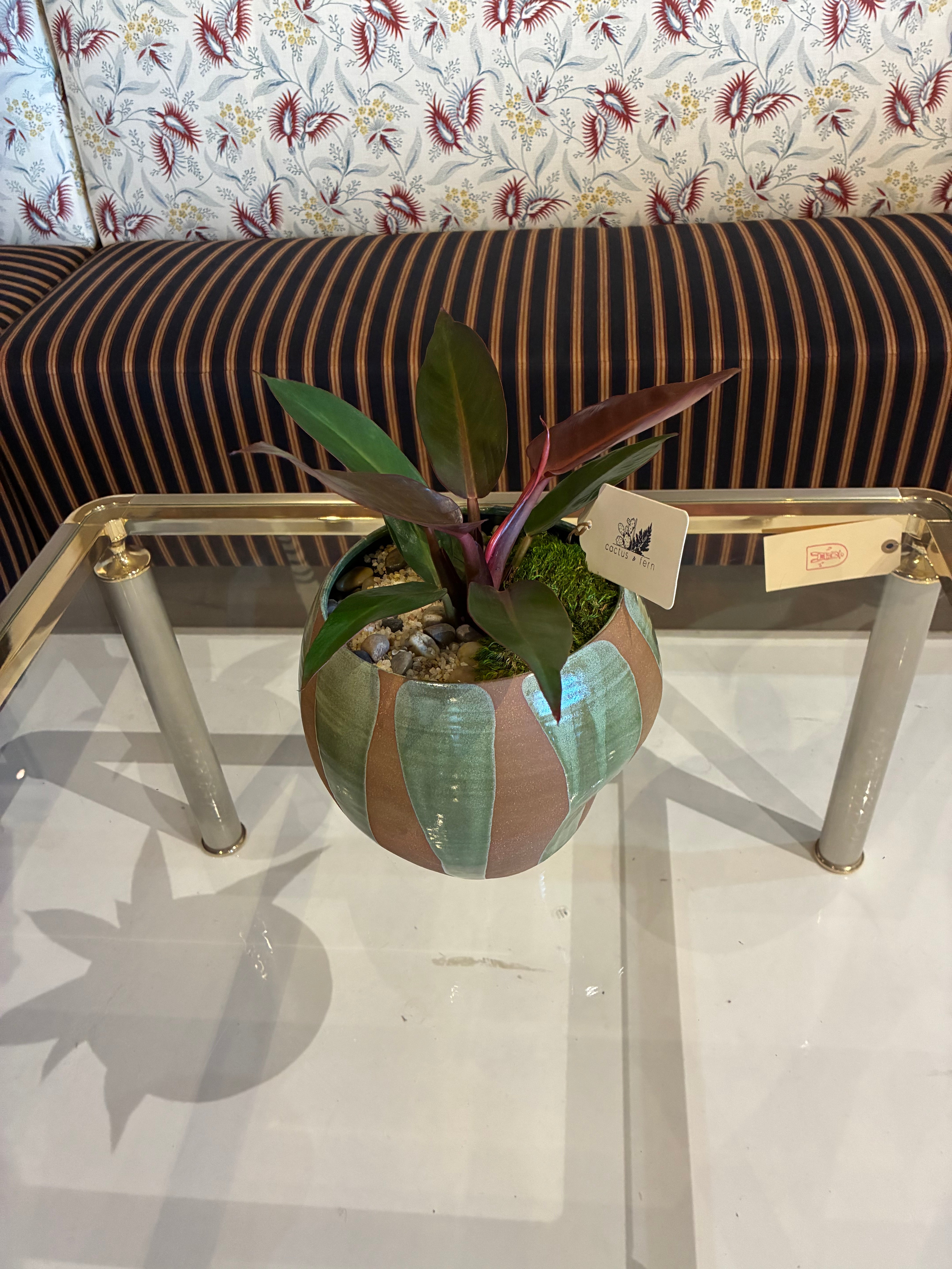 Philodendron in a handcrafted bell-shape vessel w/ flame-glazed green pattern