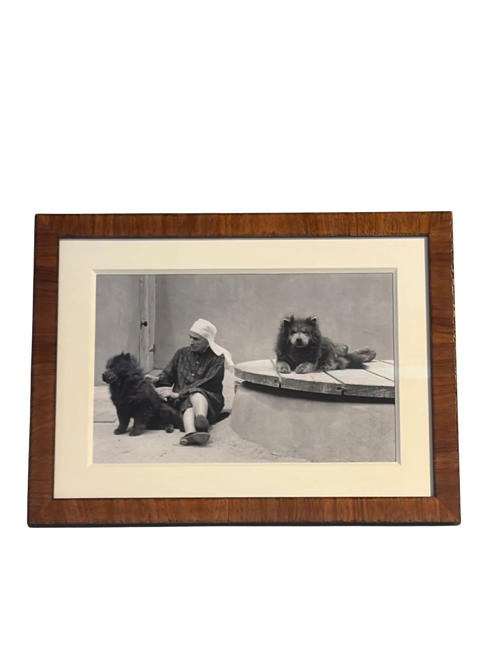 Georgia O'keefe with Dogs Framed Art