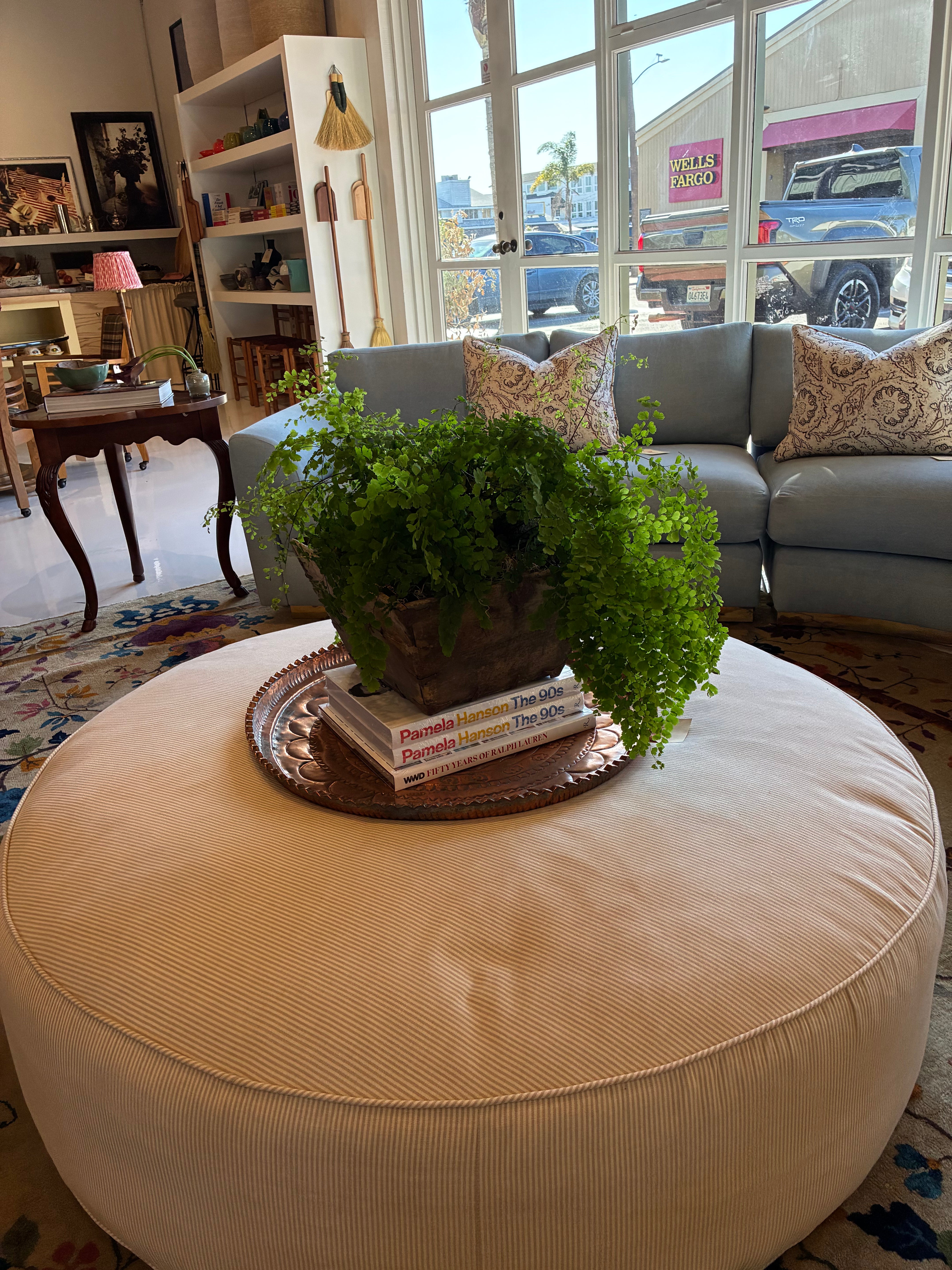 Maidenhair Fern Plant in a Chinese Wood Crate