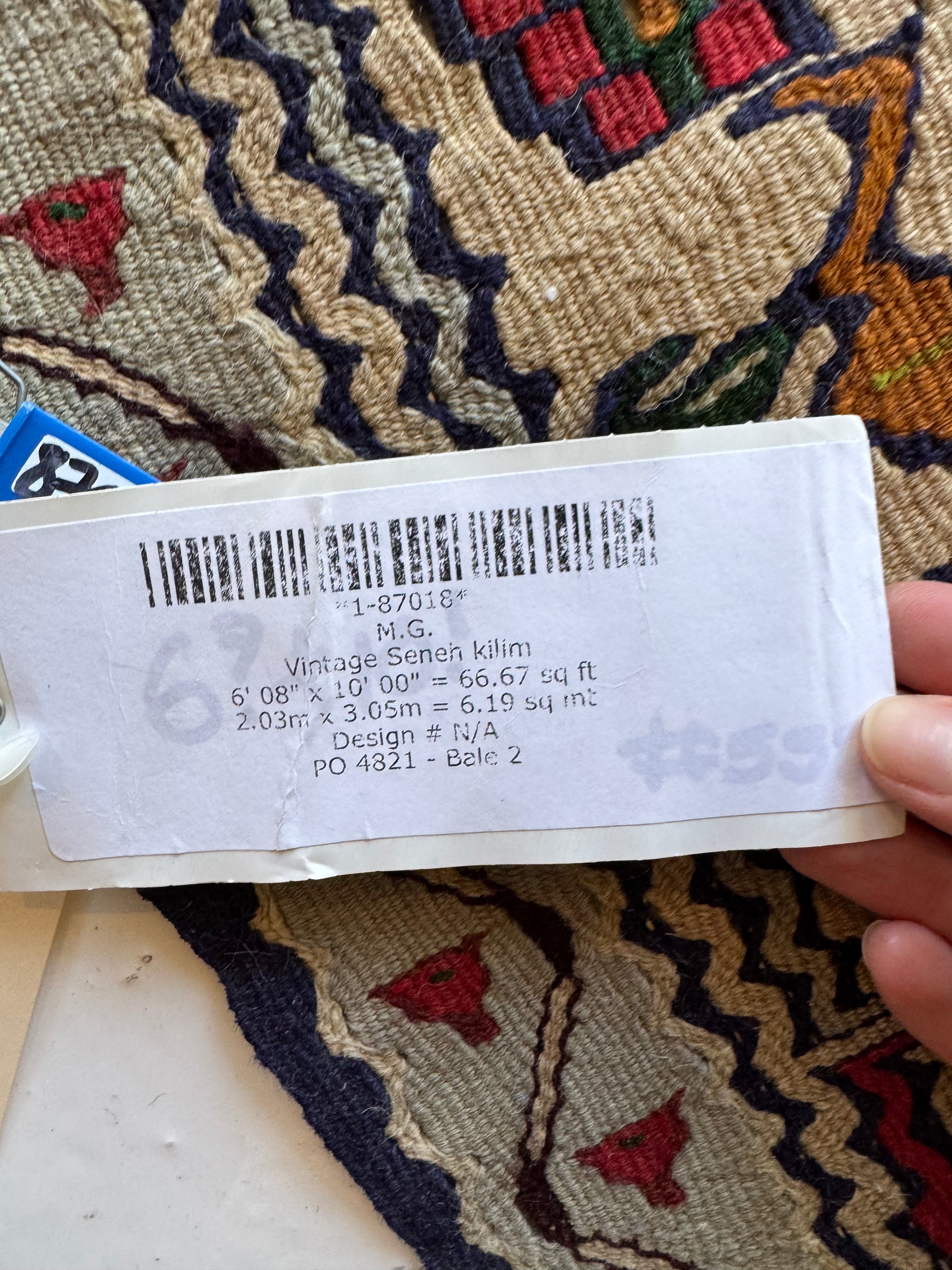 Persian Kilim Rug 6.8x10