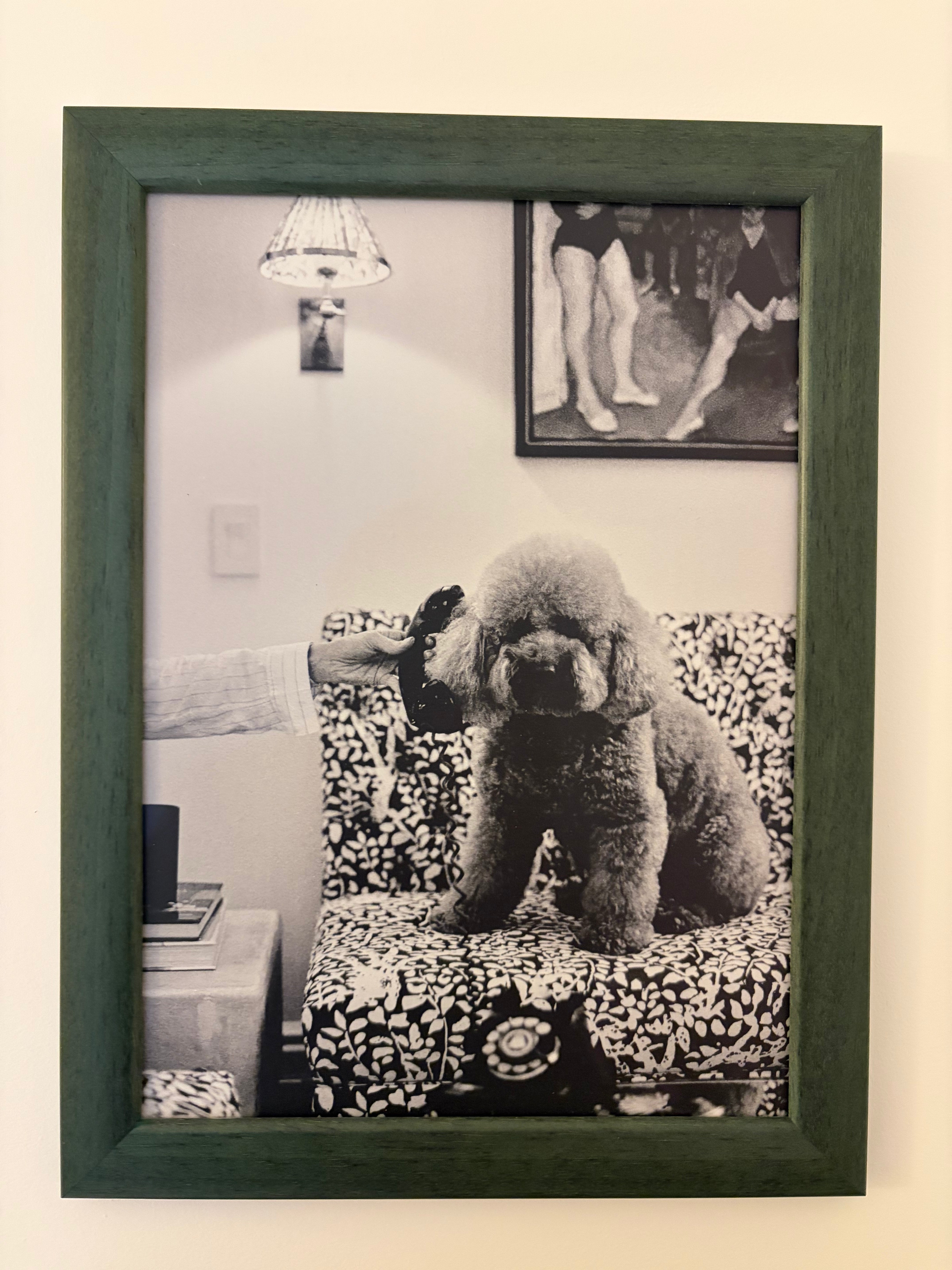 Dog Series Framed Art