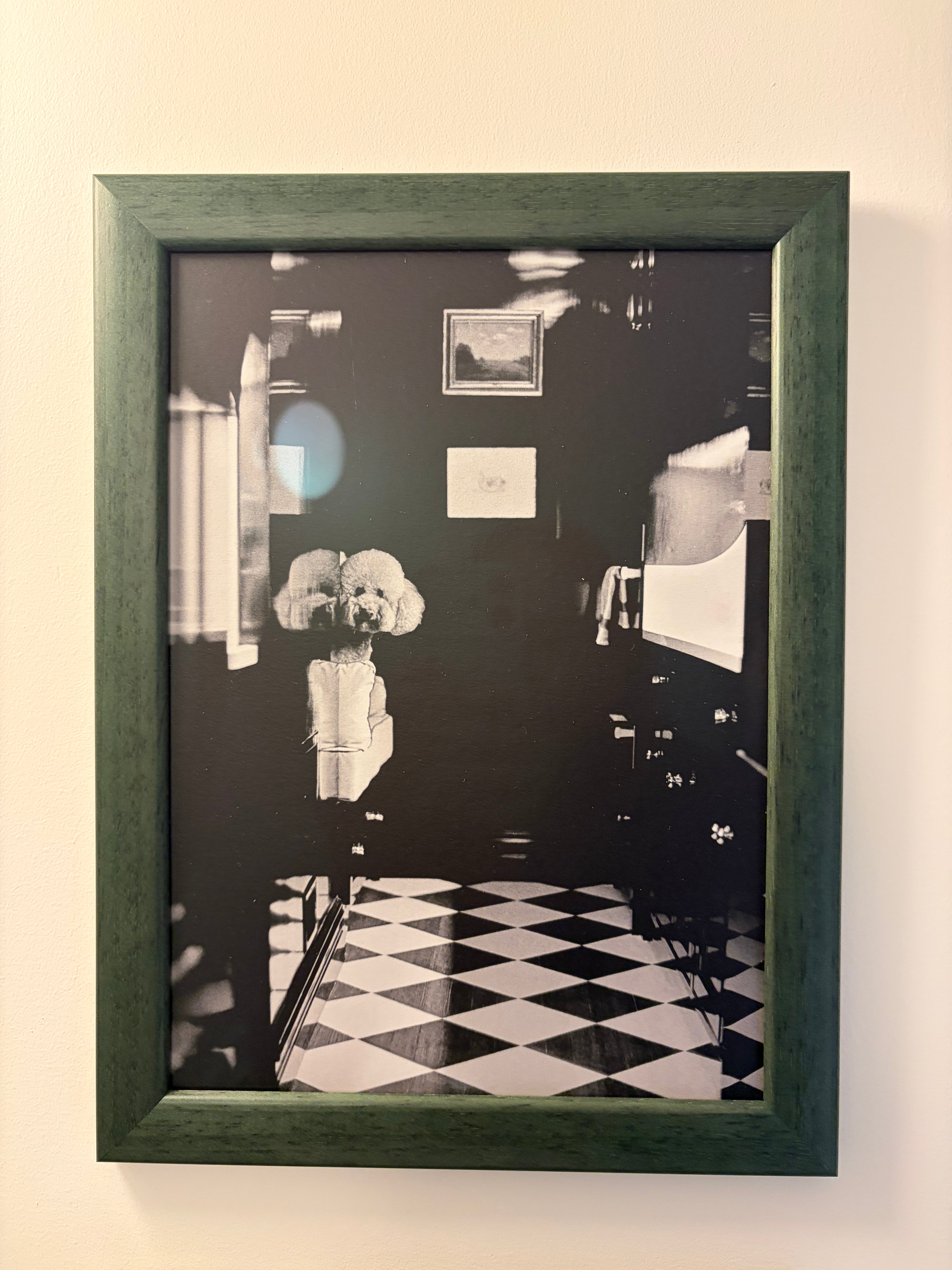 Dog Series Framed Art