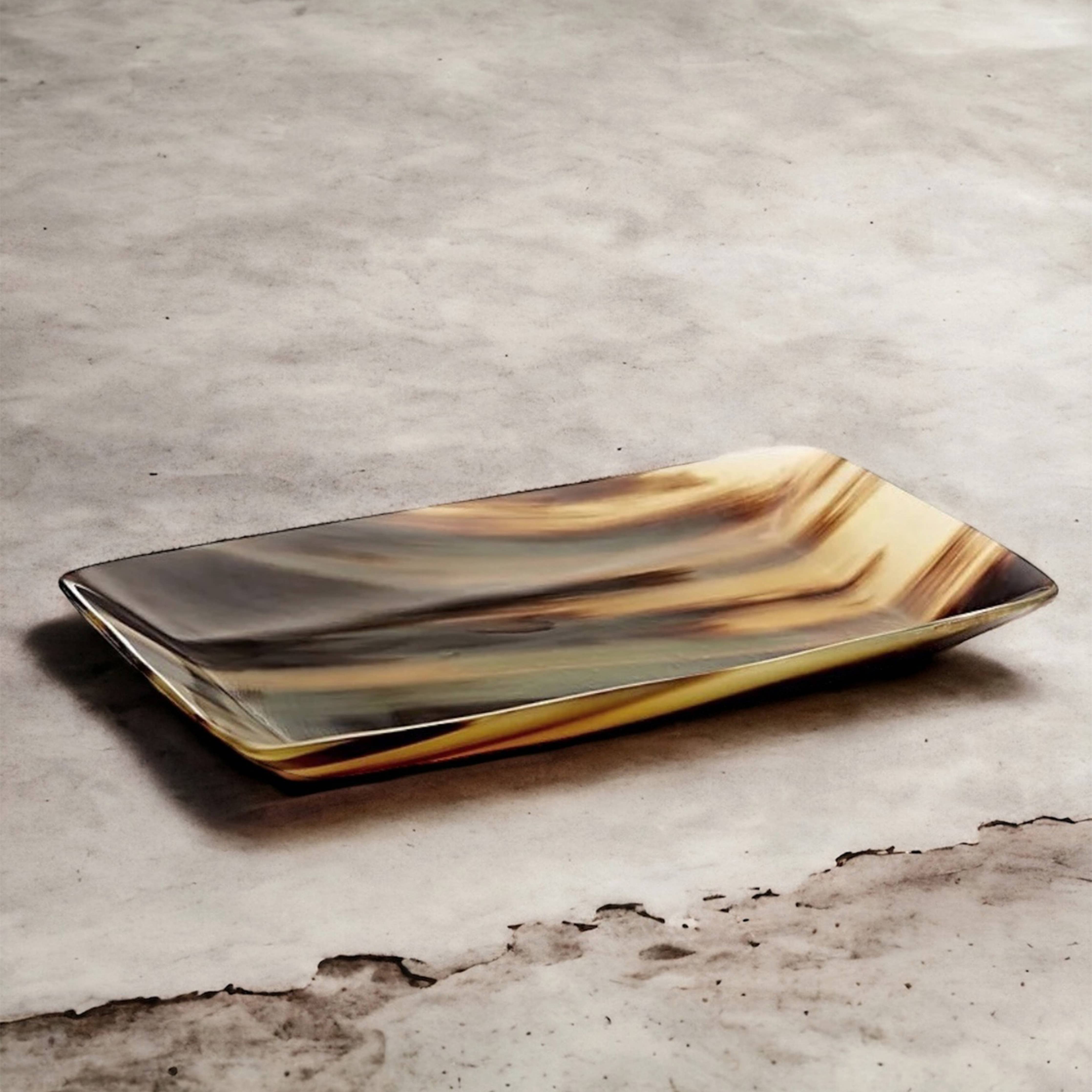 Horn tray large