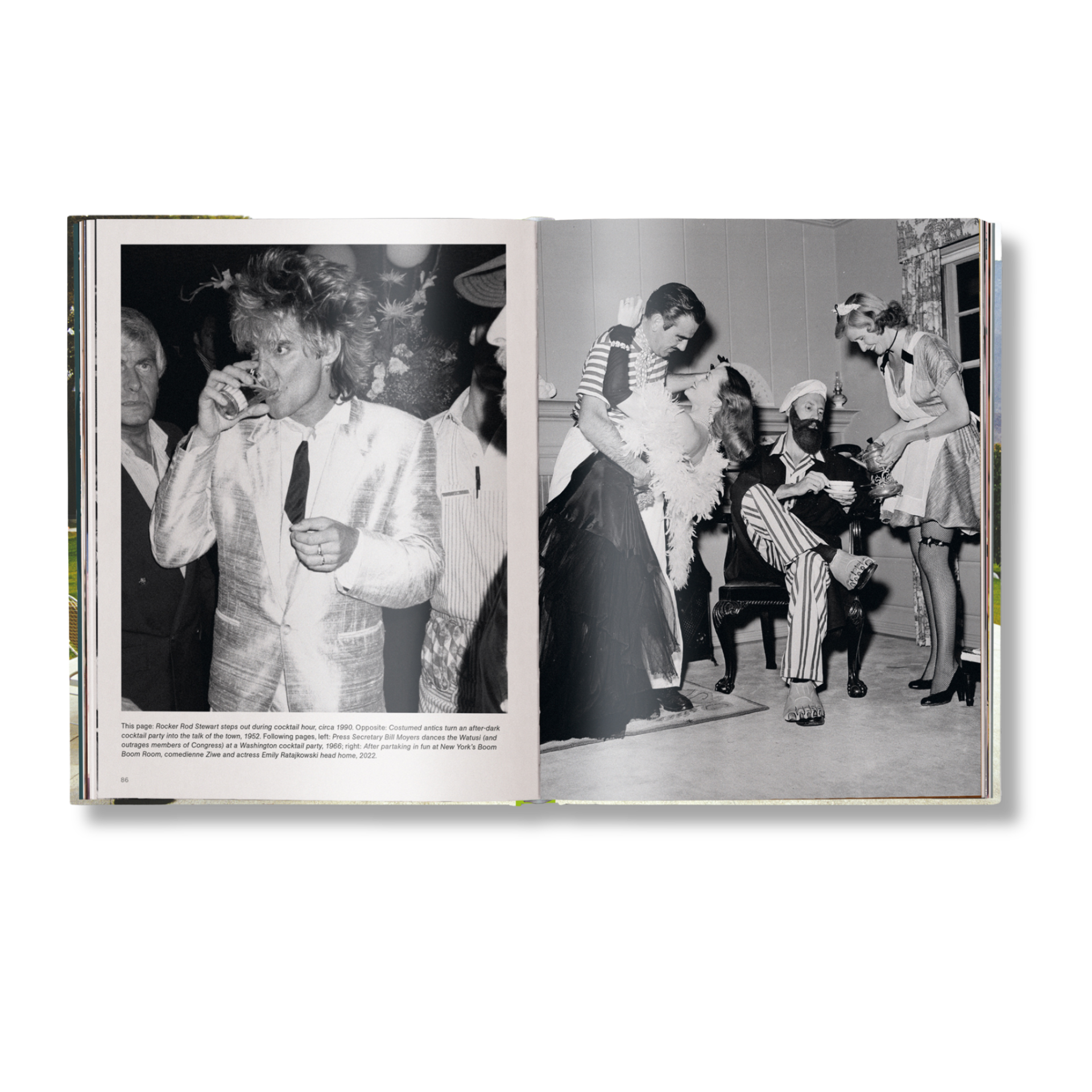 The Stylish Life: Cocktail Parties