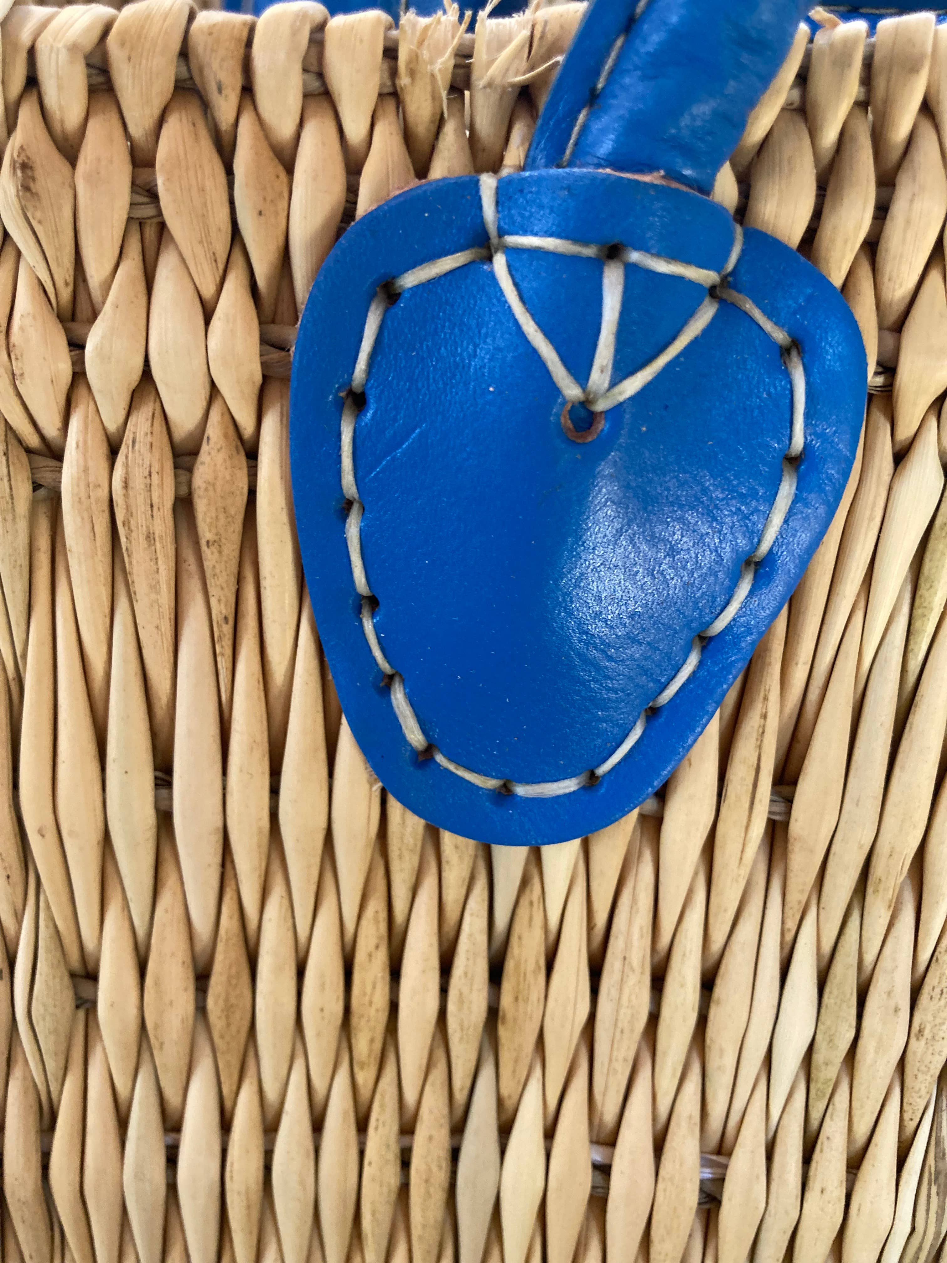 Water Reed with Light Blue Handles: Large